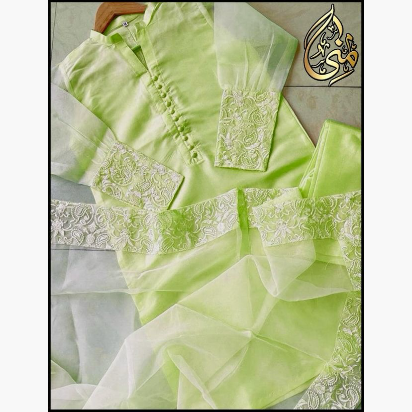 3 pc Full Embroidered Organza