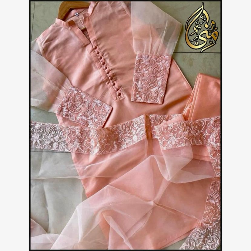 3 pc Full Embroidered Organza